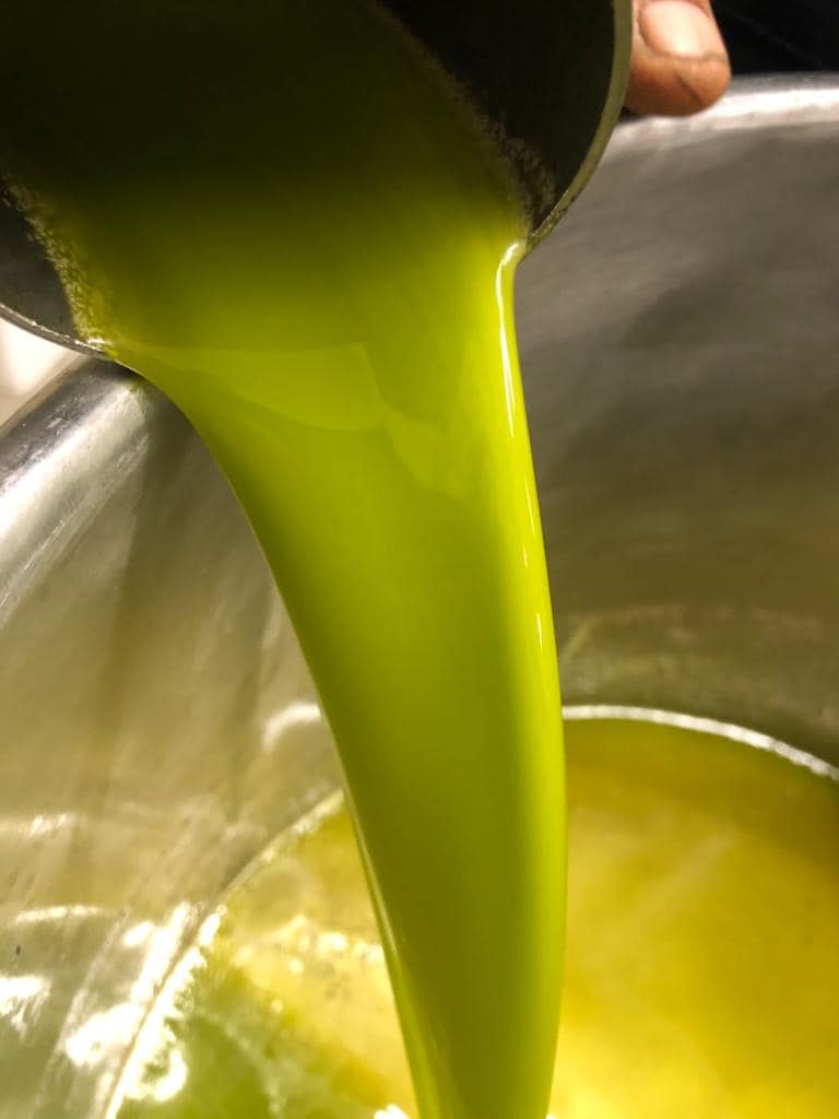 olio extravergine di oliva biologico straface fabio
